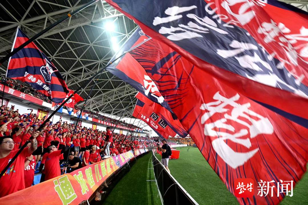 训时期的深, 业选手的蜕