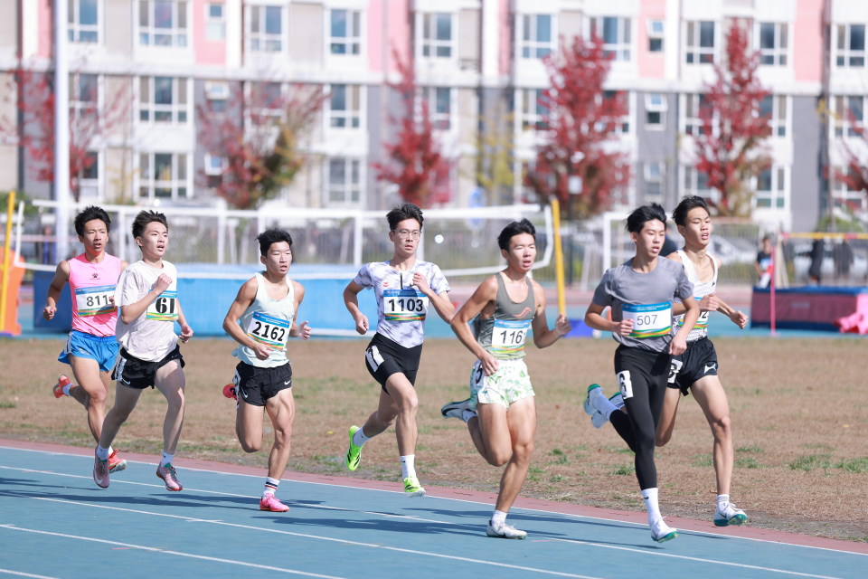 素养提升, xWAAA 素养提升, xWAAA